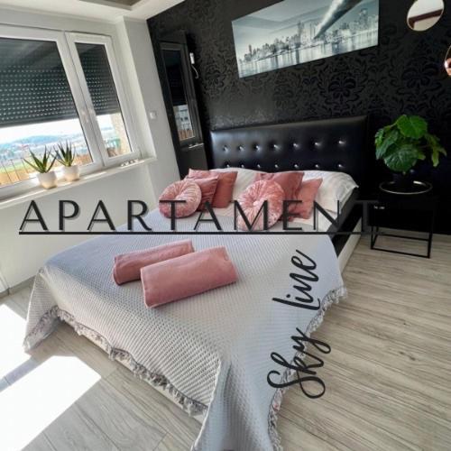 קלודז'קו Spoldzielcza 22 Apartament Sky Line מראה חיצוני תמונה